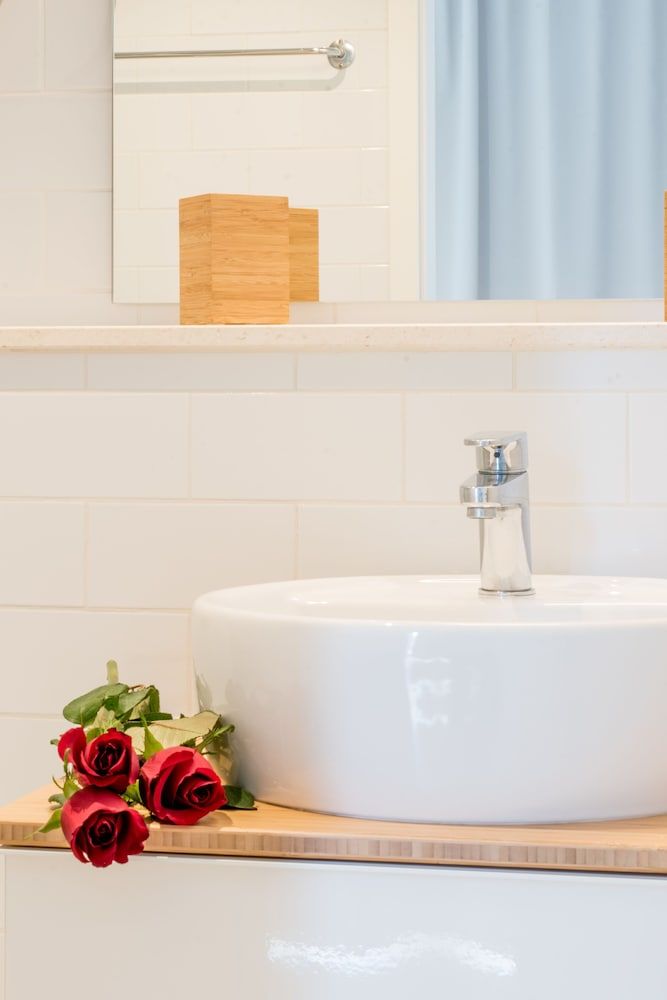 Wind Rose Split Studio 17