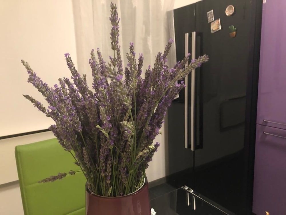 Casa di Lavanda Superior Apartment 10