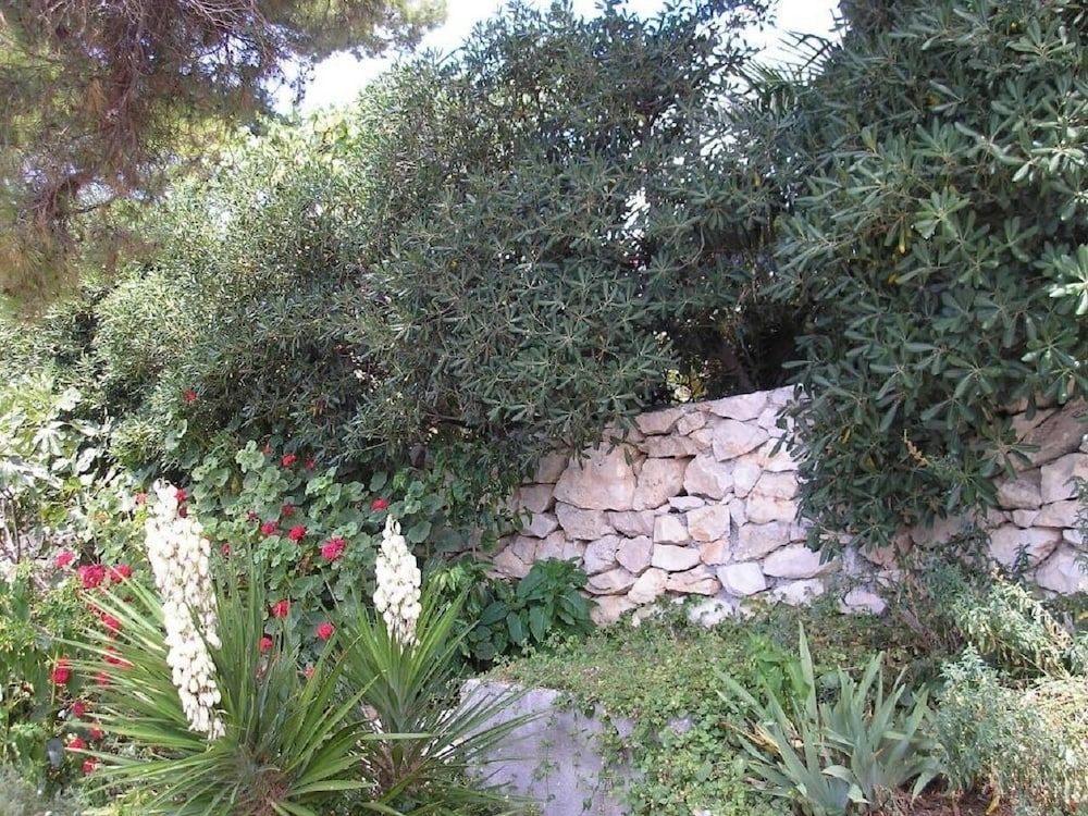 undefined Zelko - With Garden - A1 3