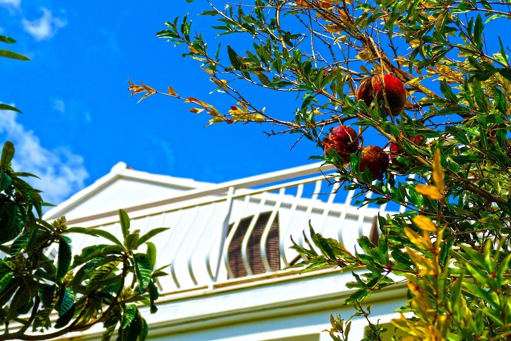 undefined Apartments Martinovic 10