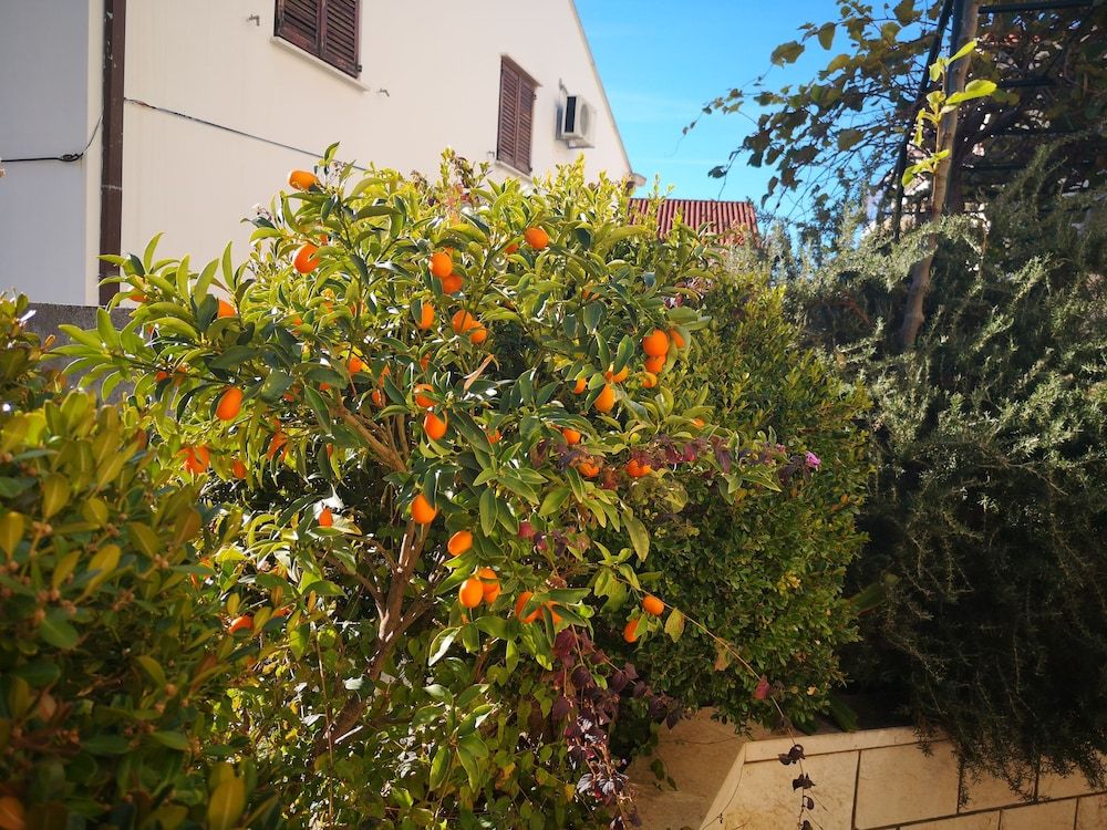 undefined City Apartments Lani 4 3