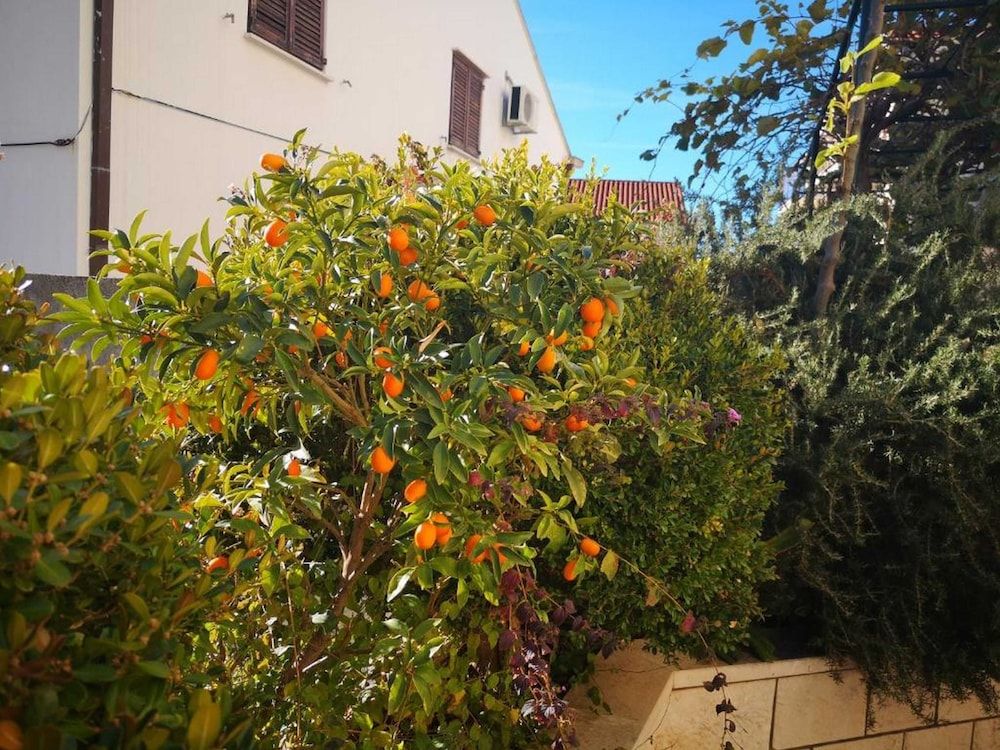 City Apartments Lani Apartment (City Apartments Lani - Two Bedroom Ap) 14