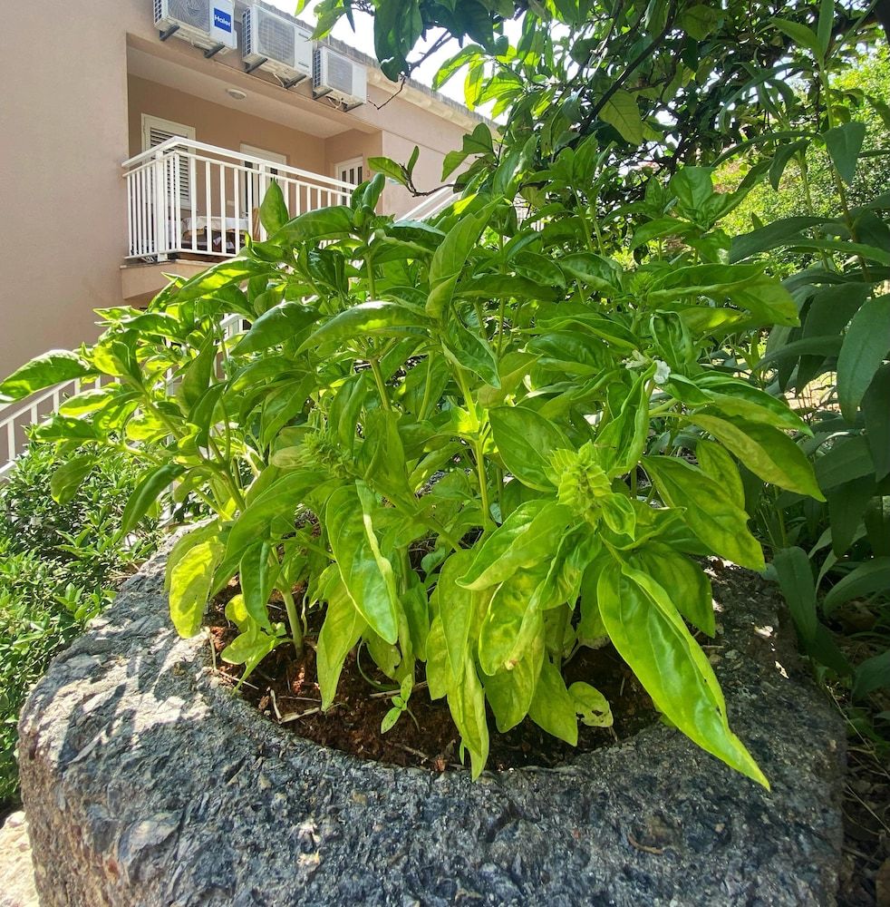 undefined Villa Mar 4