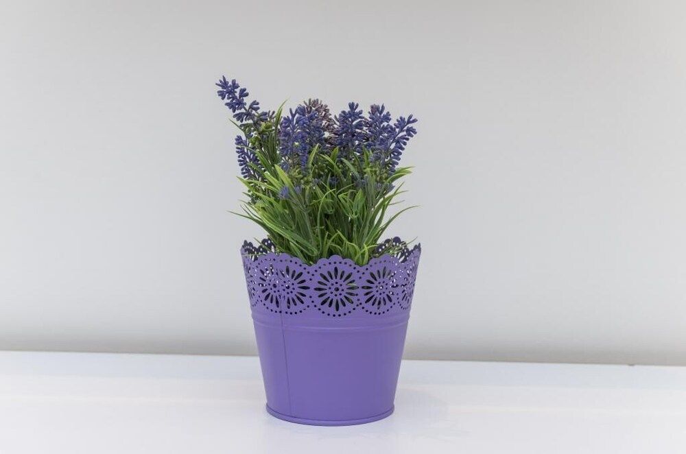 Apartment Take That Apartment (Two Bedroom Apartment with Terrace) 21