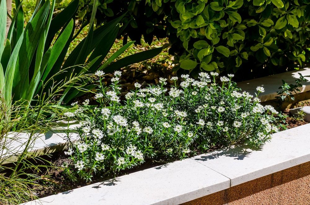 Apartment Veronika Apartment (One Bedroom Apartment with Terrace) 22