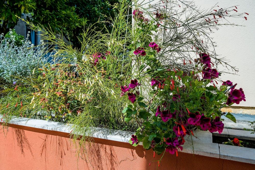 undefined Apartment Veronika 3