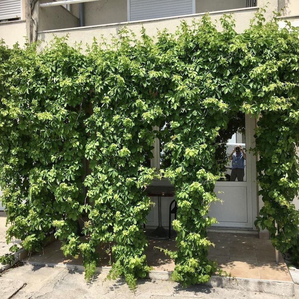 undefined Maraština Suites 6