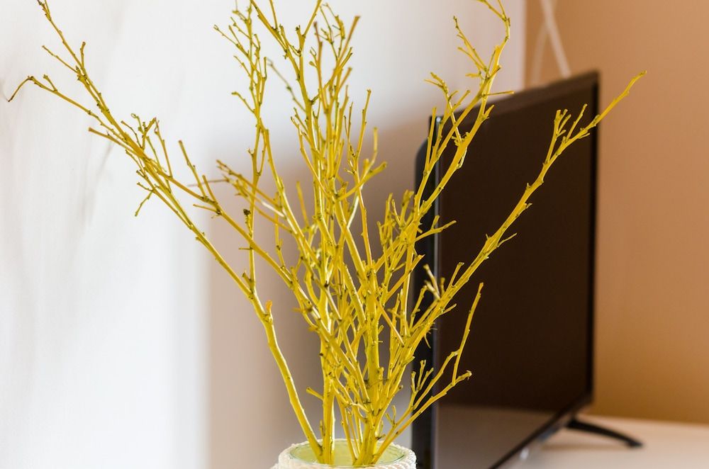 Maraština Suites Standard Studio, 1 Double Bed, Balcony 6