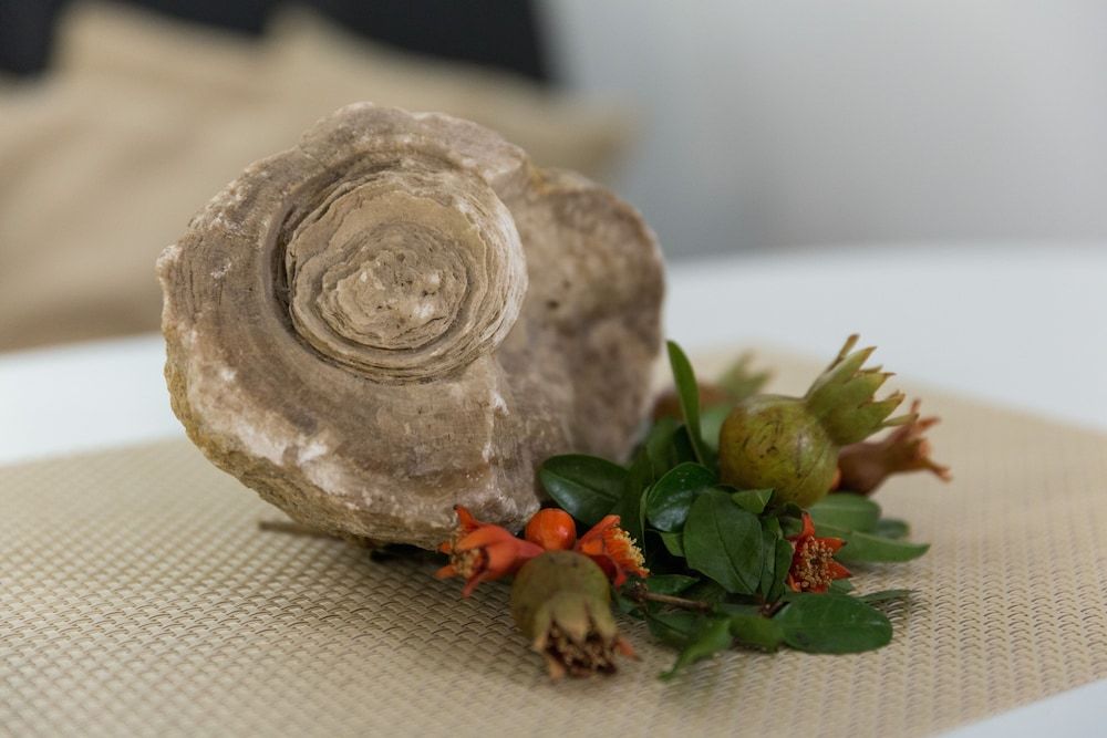 undefined Izvijačica Suite 4