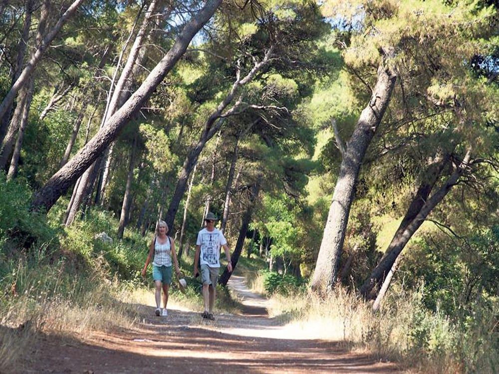 Luxury Apartment With Private Balcony in Quiet Area Apartment 10