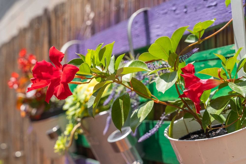 undefined Apartment Santa 8