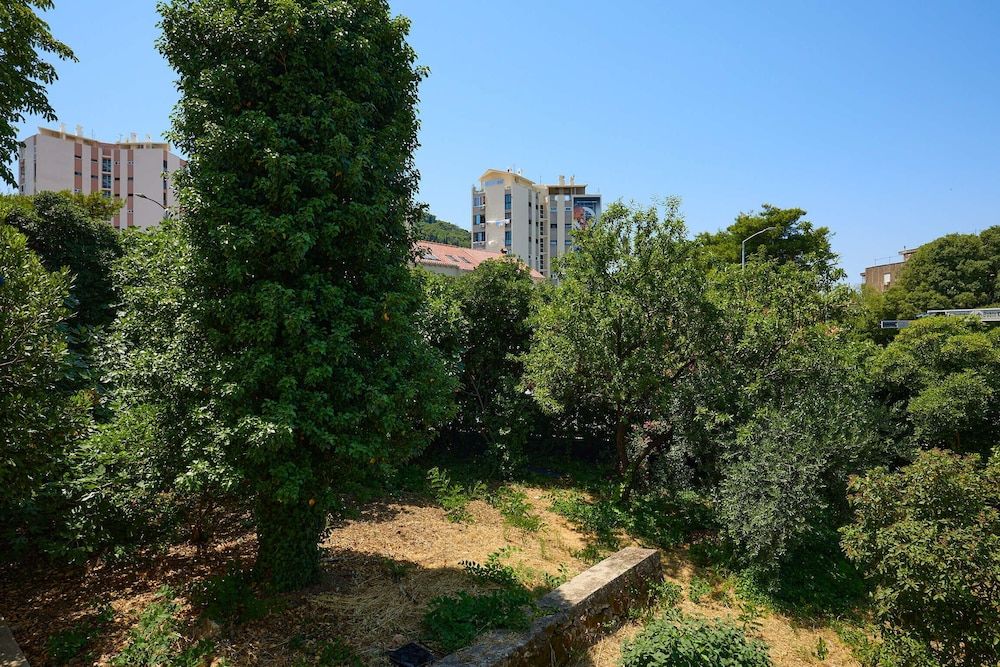 Apartment Fragola Apartment (1 Bedroom) 24