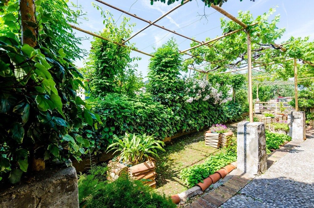 undefined Guest House Ivana 10