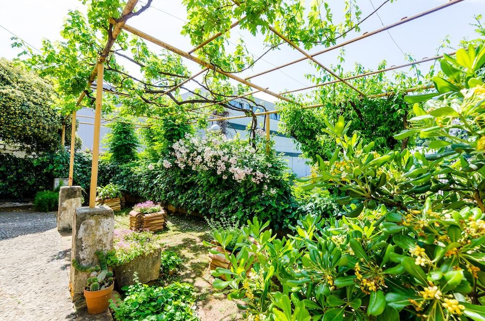 undefined Guest House Ivana 7