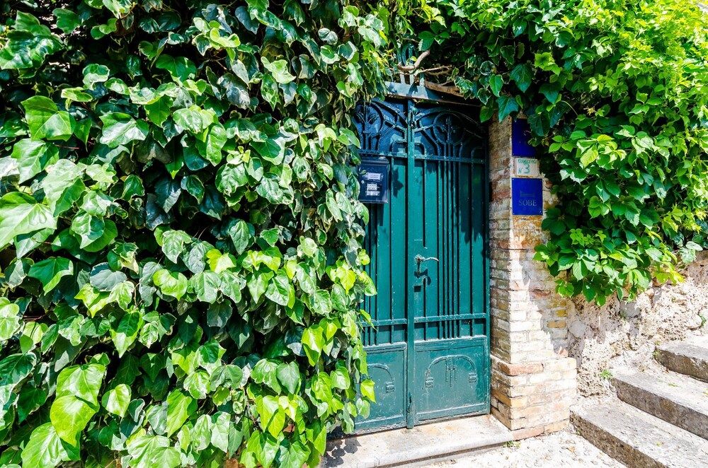 undefined Guest House Ivana 3