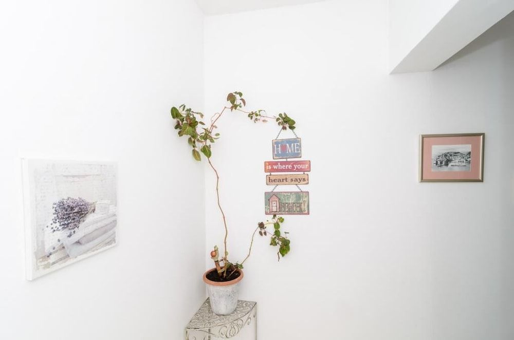 Ivo Guest House Double Room (Double Room with External Private Bat) 25