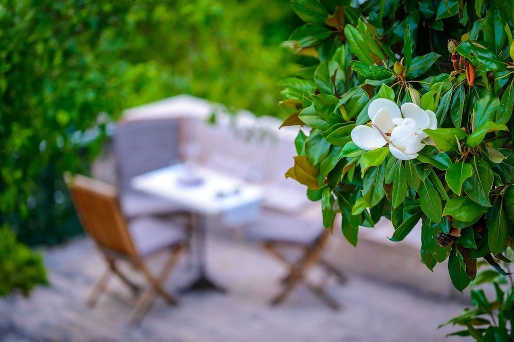 undefined Villa Donna Paola 6