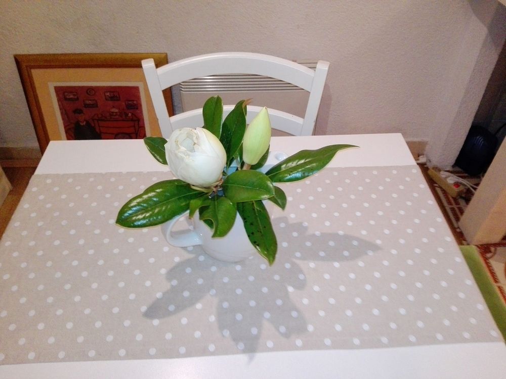 undefined Old Town Economy Apartments