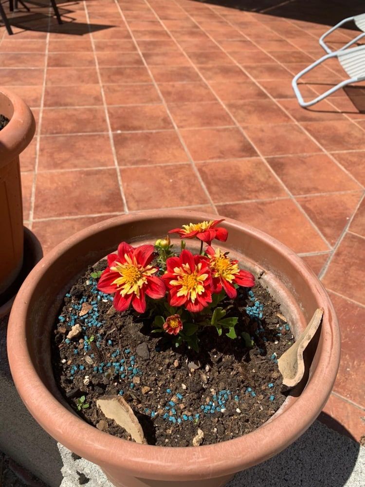 undefined Guest House Libertas 6