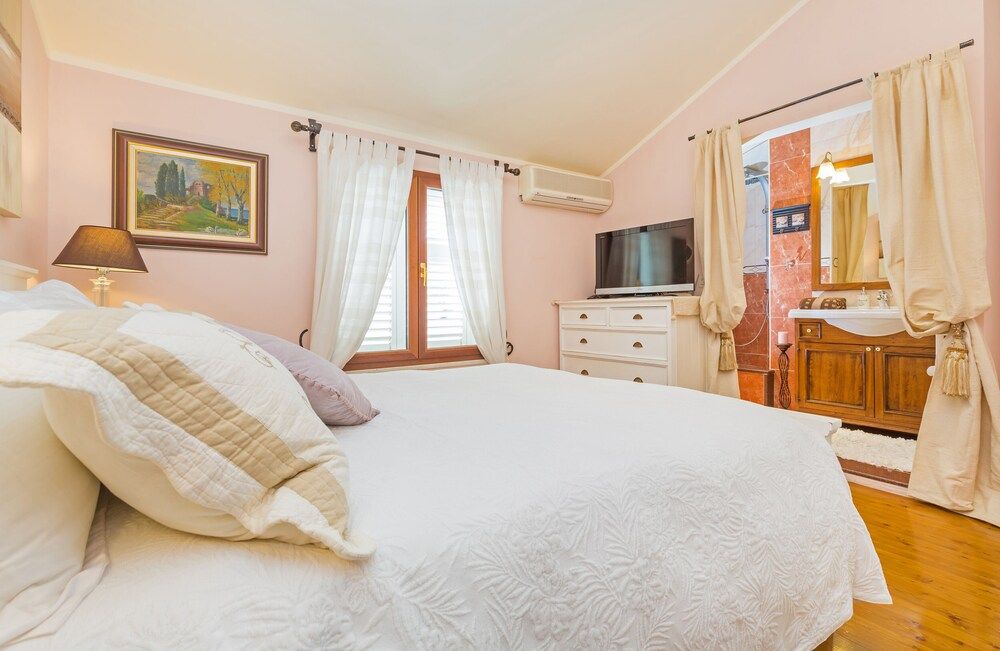 undefined Zucchero 3