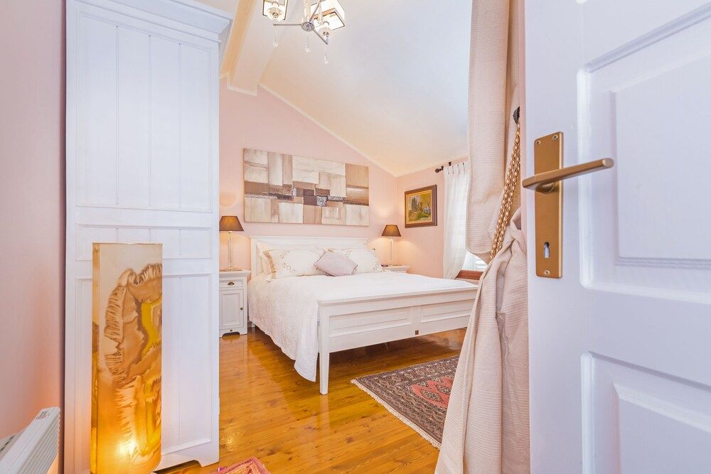 undefined Zucchero 5