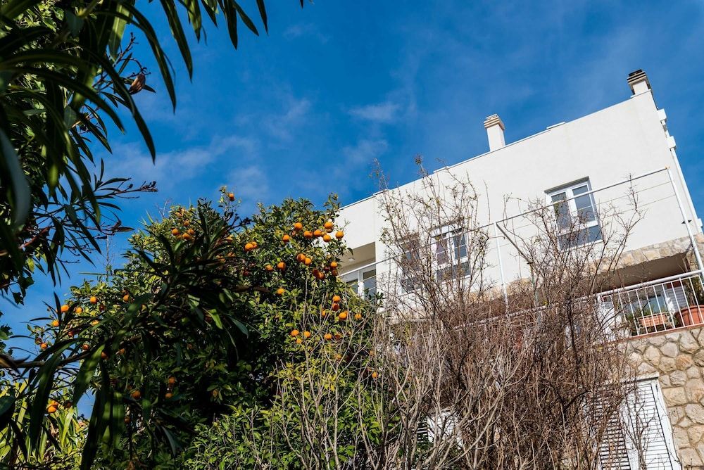 undefined Bovolini's Room 8