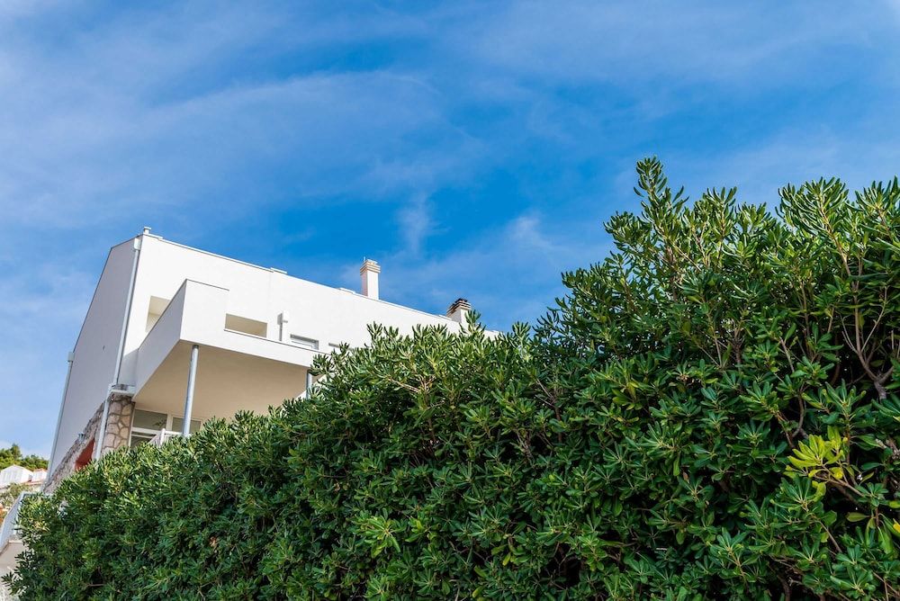 undefined Bovolini's Room 7