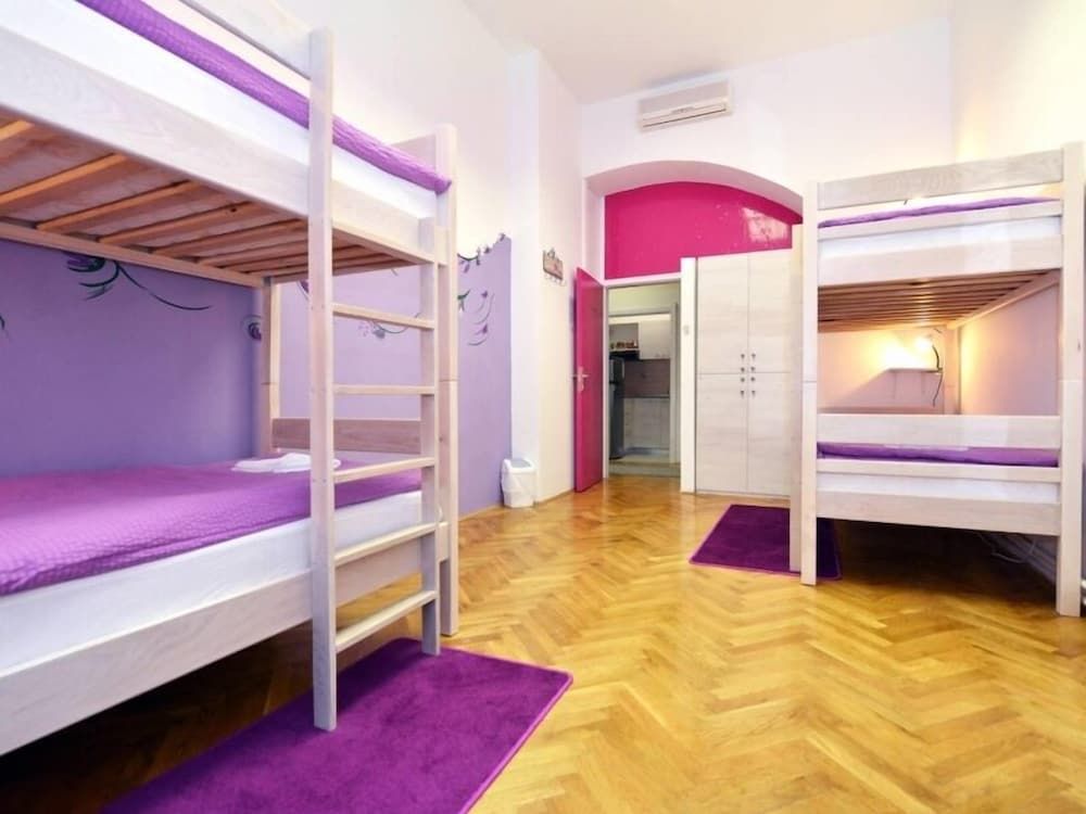 undefined Hostel Chameleon 5