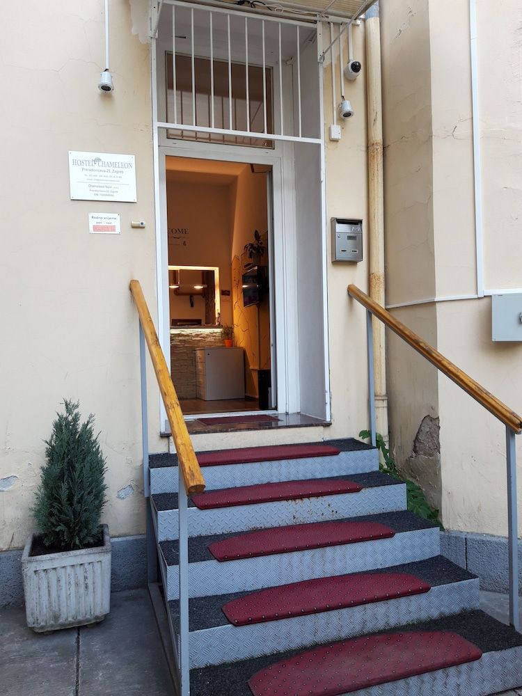 undefined Hostel Chameleon