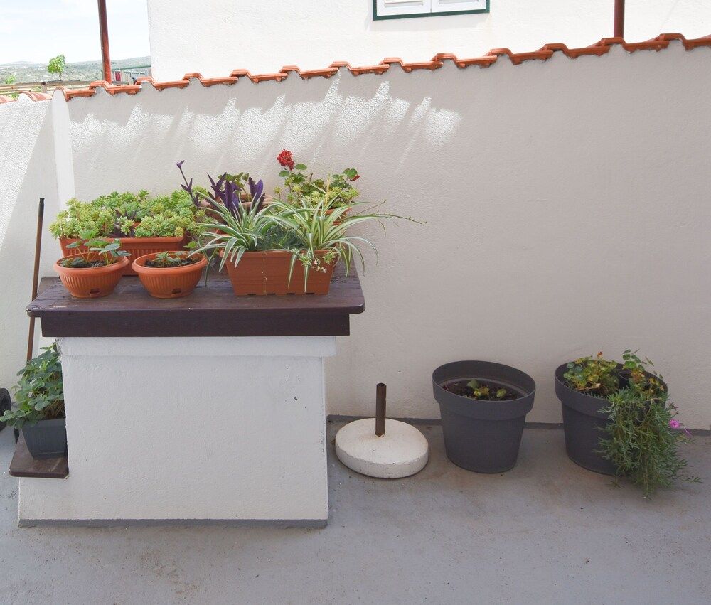 Apartment Murva
