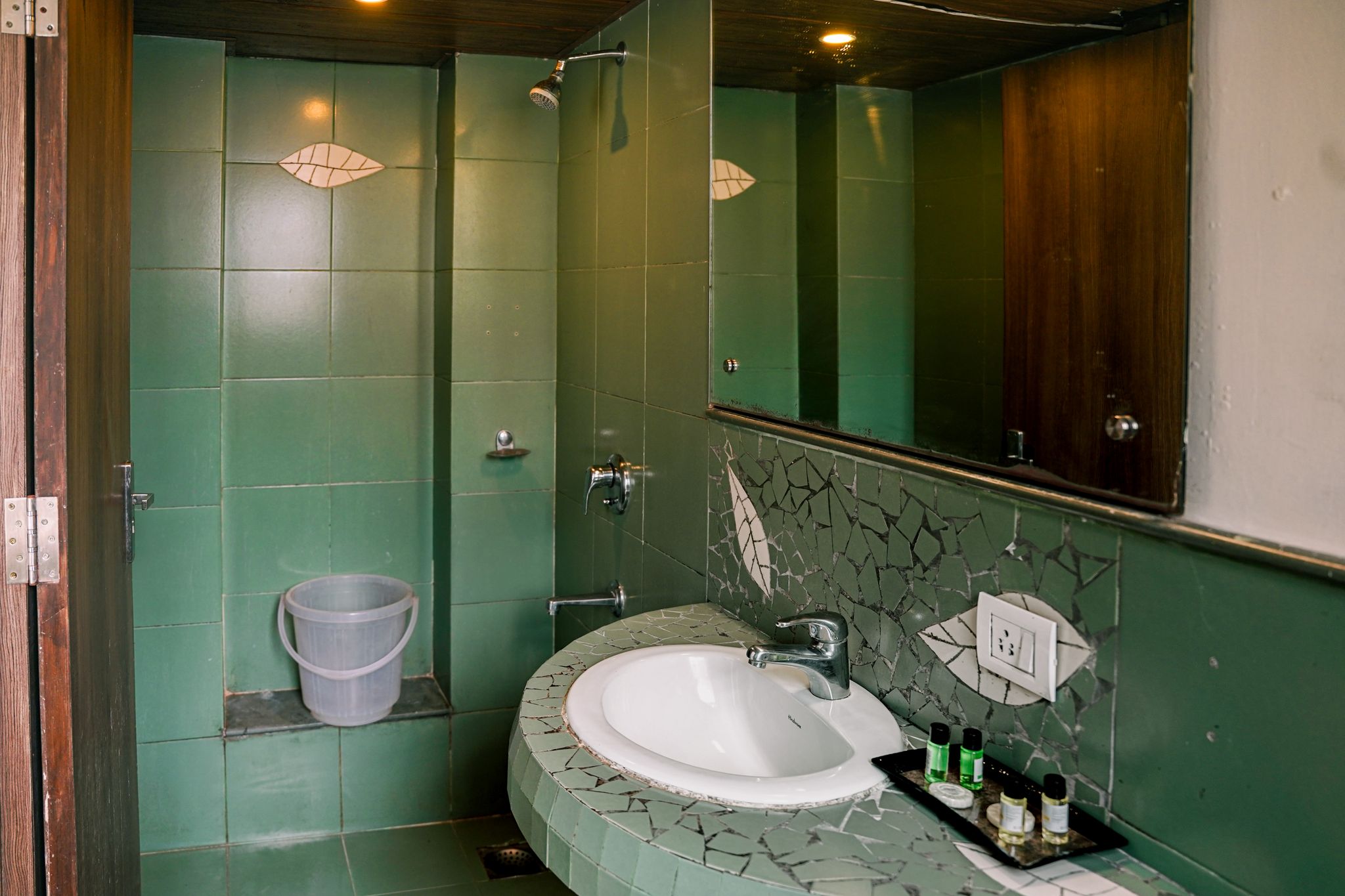 Sharanam Green Resort Deluxe Room 11