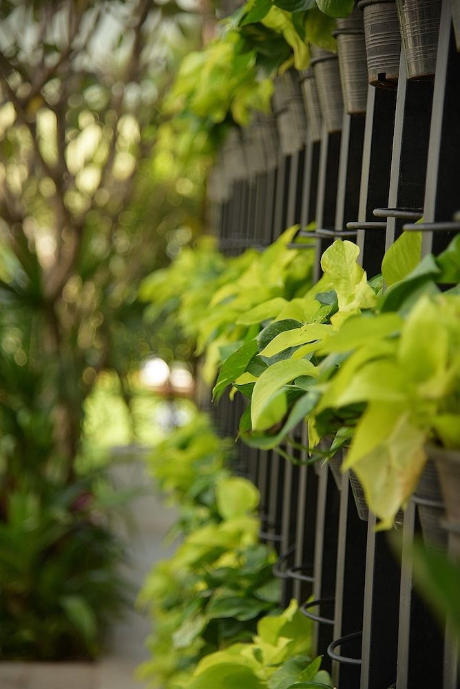 undefined Jaya House Angkor Park 6