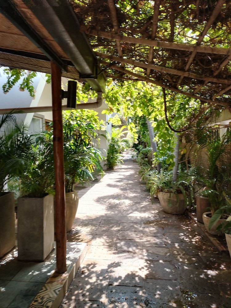 undefined La bastide de Caro 9