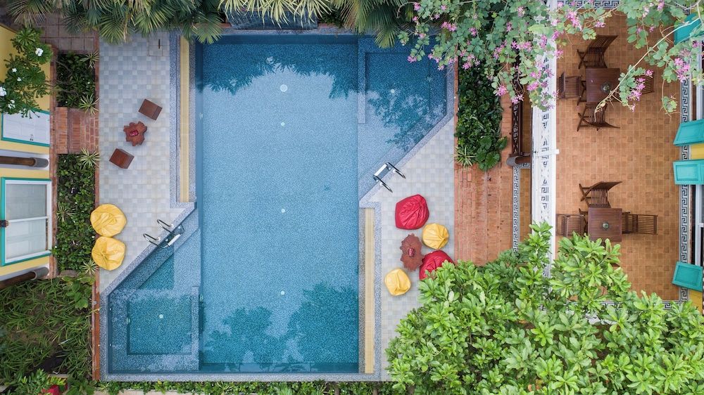 undefined The Elephant 5