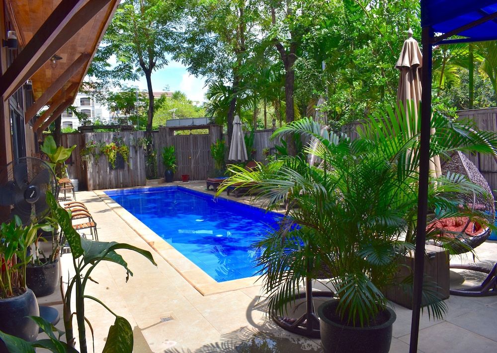 undefined Three Little Birds 4