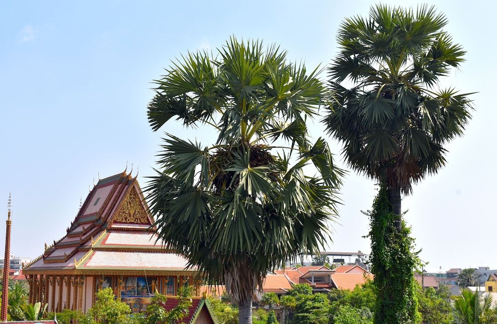 undefined Three Little Birds 3