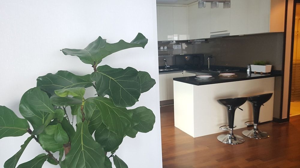 undefined Magellan 21 Asterium 2