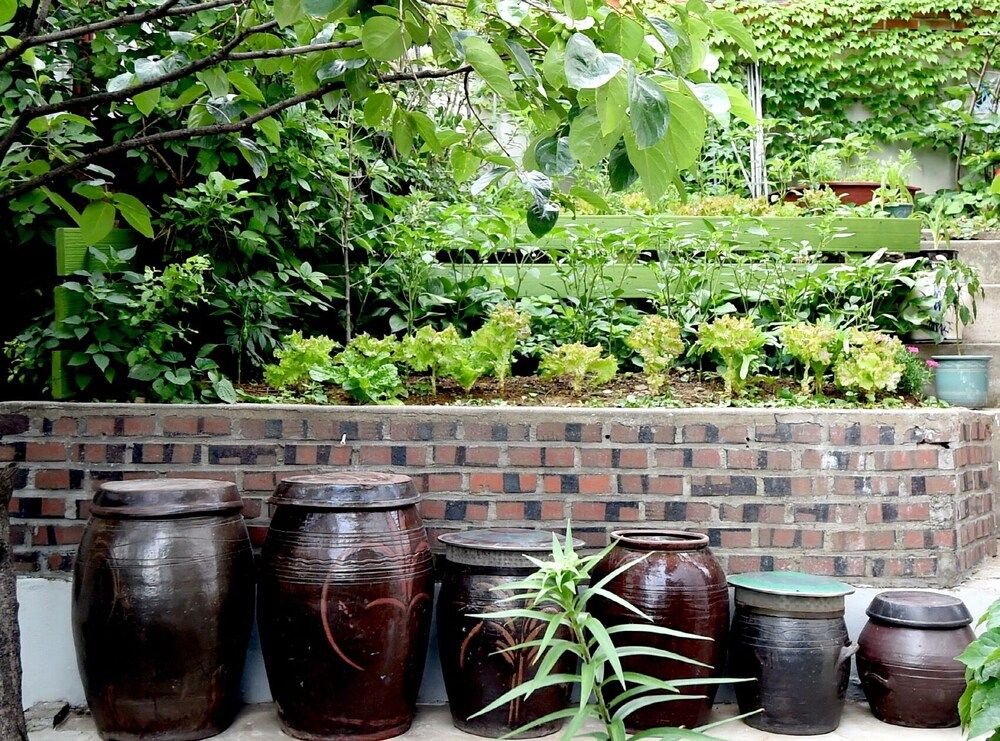 undefined Photo Park Guesthouse 10