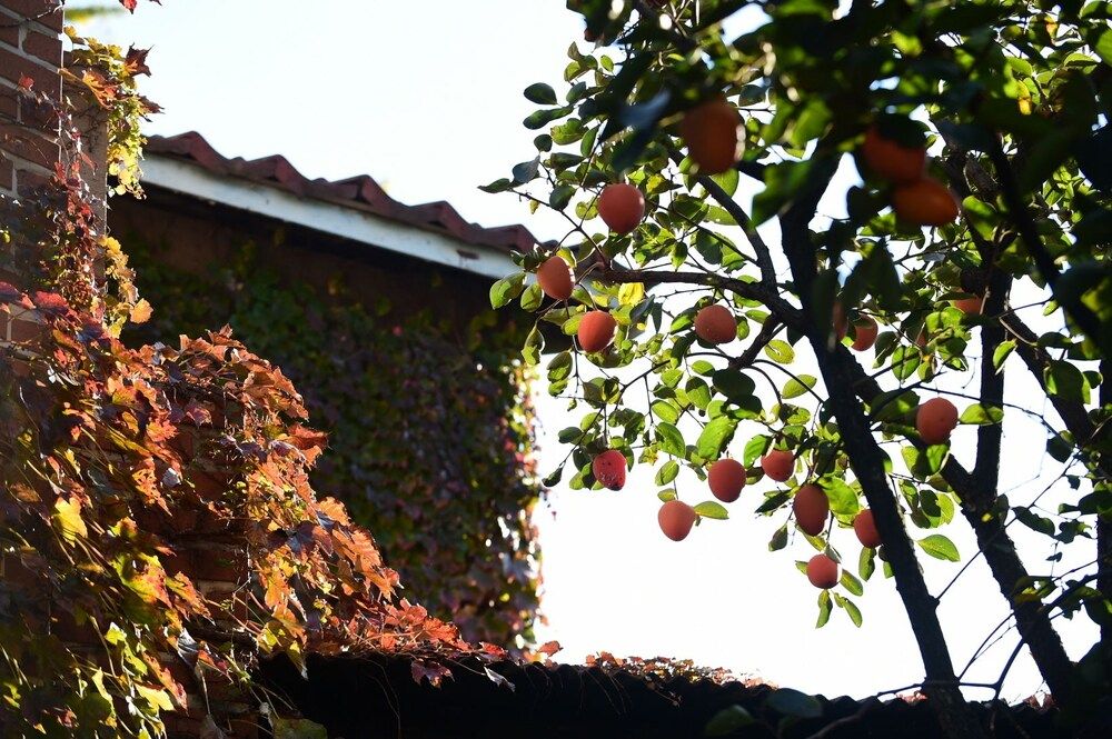 undefined Photo Park Guesthouse 7