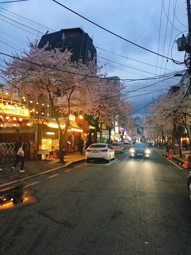 undefined Hi Dear Guesthouse - Hostel