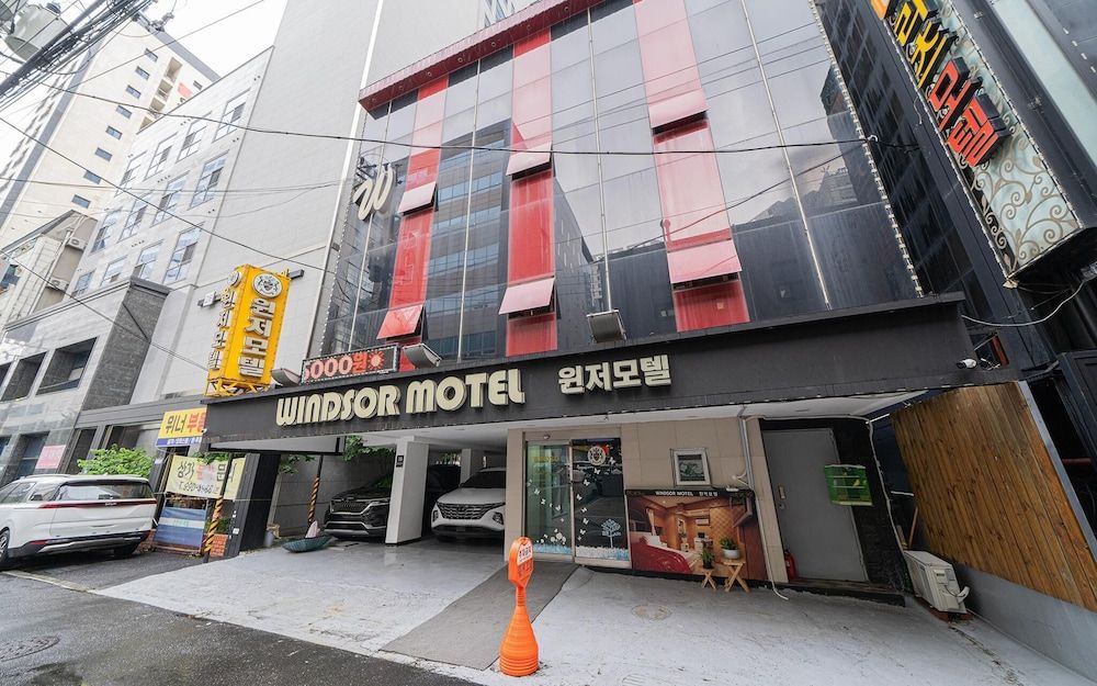 undefined Suyu Windsor 2