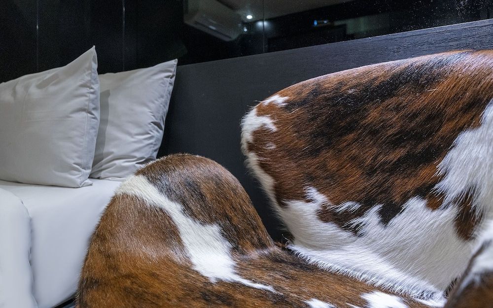 undefined Sinsa Latree 10