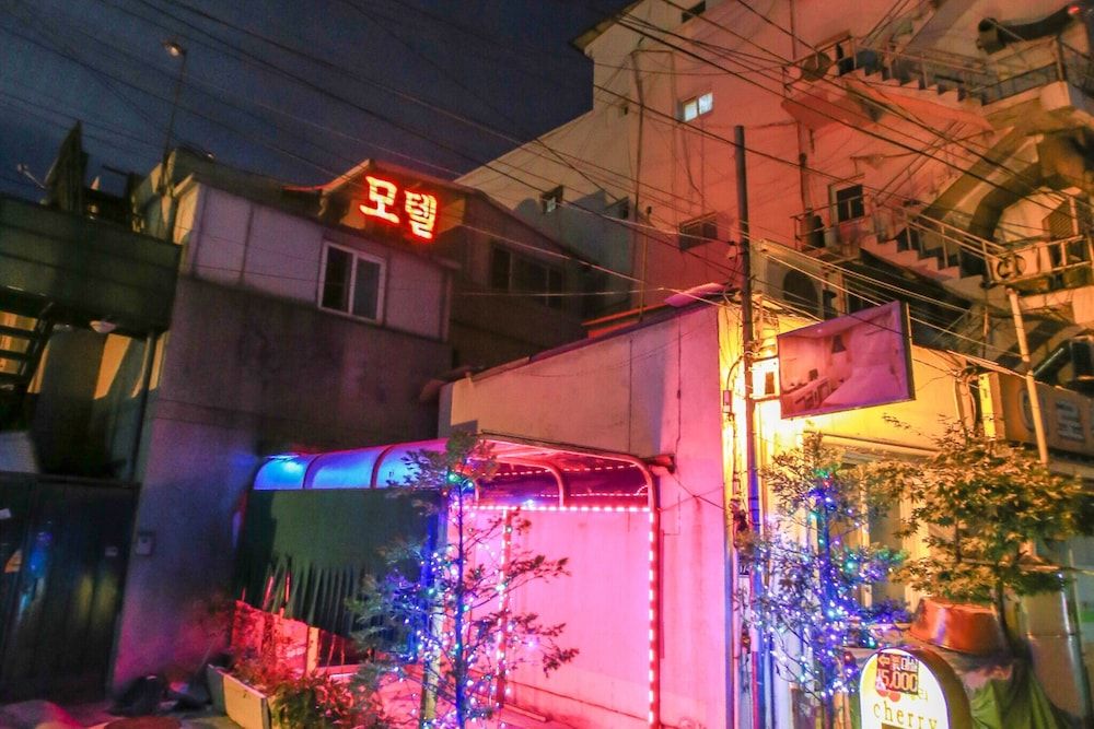 undefined Hoegi Cherry