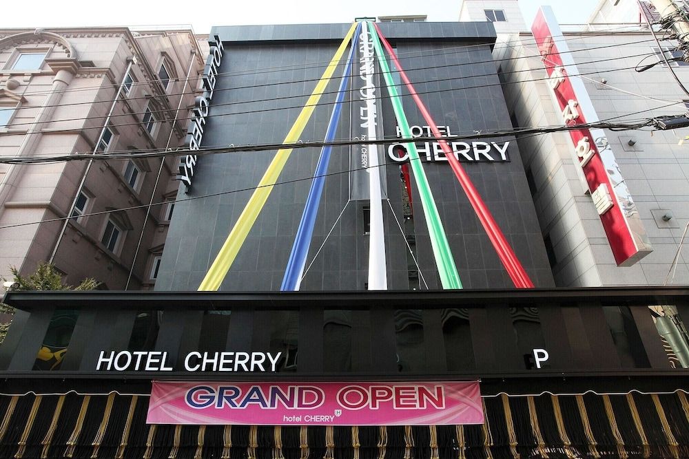 undefined Jamsil Cherry 4