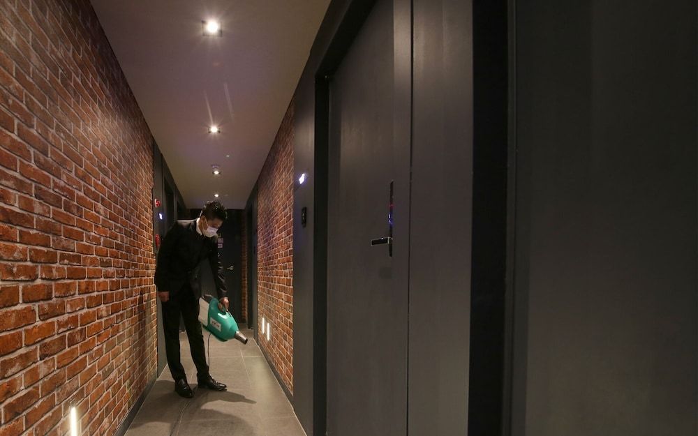 undefined Jamsil Cherry 8