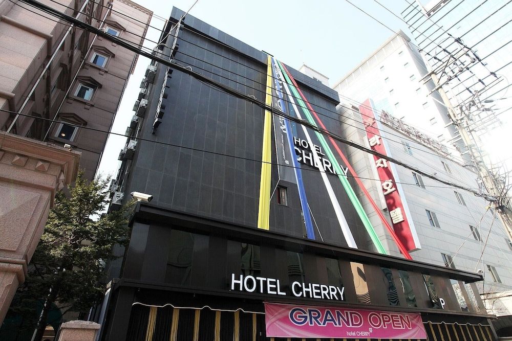 undefined Jamsil Cherry 5