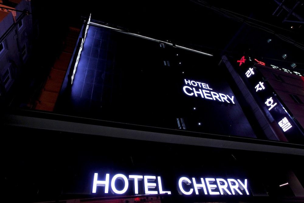 undefined Jamsil Cherry 3