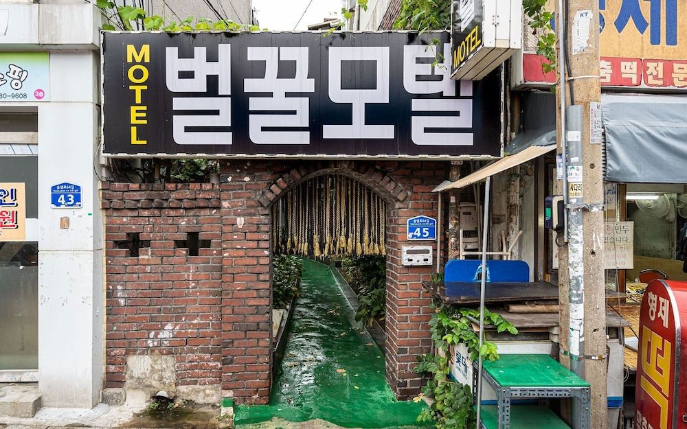 undefined Mia Beolkkul