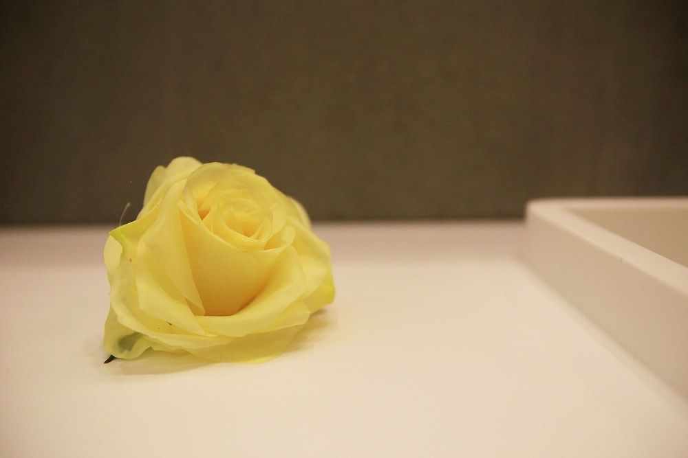 Sincheon Lavieen Hotel Room (Deluxe (Netflix)) 3