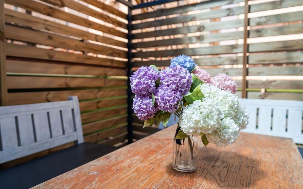 undefined Suyu Fox 8